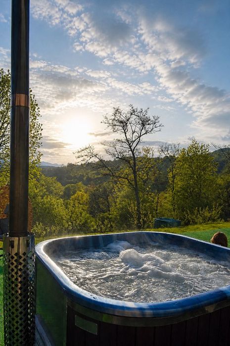 Vilă Cazare închiriere integrală Exclusive Villa