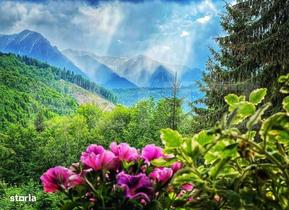 Complex turistic eco-integrat – Predeal (Trei Brazi)