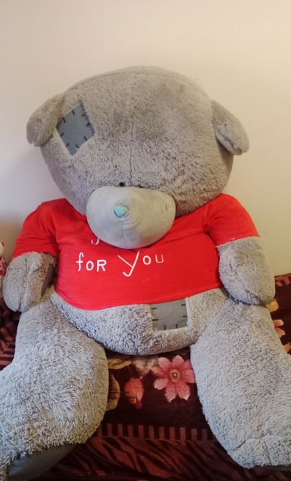 Teddy  yumshoq oʻyinchoq