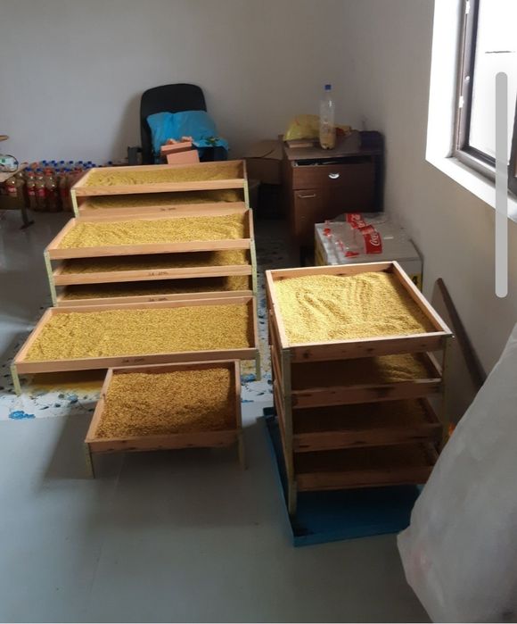 Продаю Цветочную пыльцу!