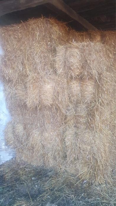 Baloti din paie de ovăz