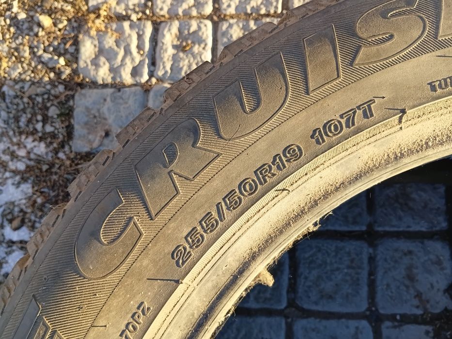 Резина р19 /255/50
