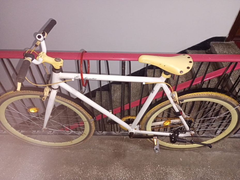Bicicleta  cruising