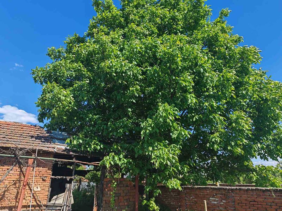 Продава се Къща в с. Черна гора, Област Стара Загора - 160 кв.м за 97 €/кв.м - Снимка #22