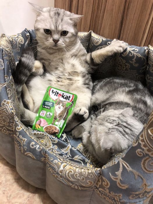 Срочно вязка вязка