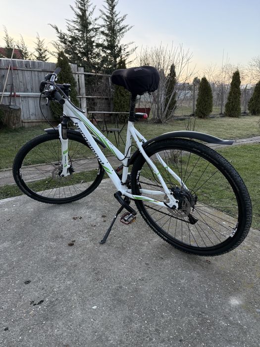 Vand bicicleta Bergamont