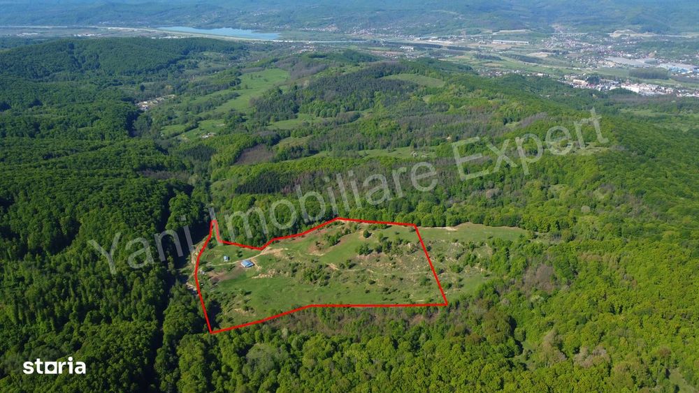 Teren cu stană de vânzare în apropiere de Curtea de Argeș.