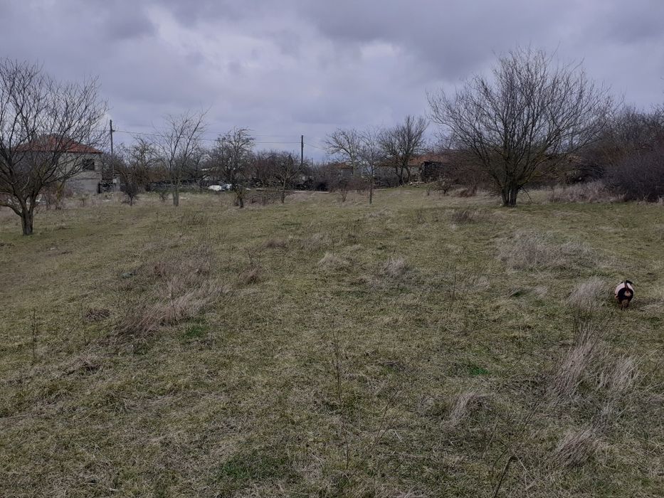 Продава се Парцел в Белослав - 5012 кв.м за 14 €/кв.м - Снимка #3