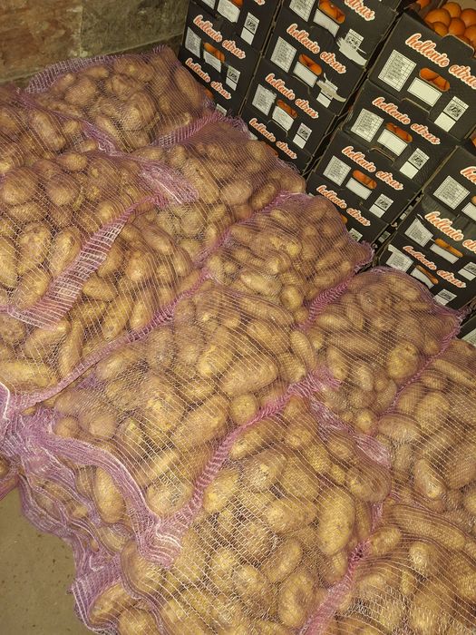 Vând cartof nou de Grecia