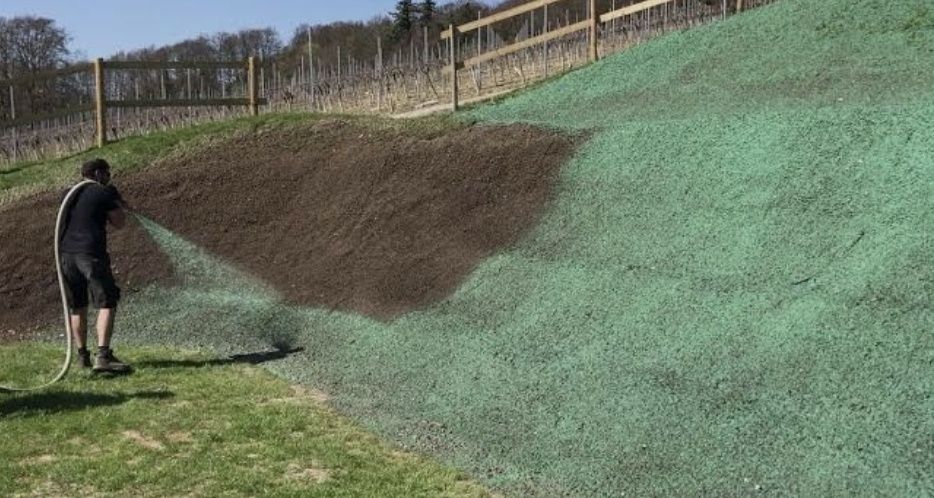 Гидропосев, газоная трава