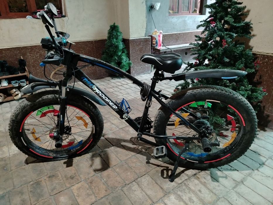 Велик продаётся...