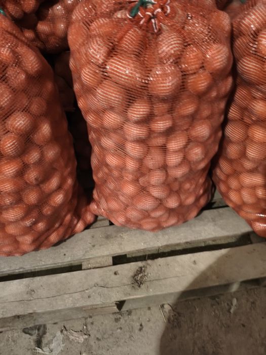 Продам  картофель средний