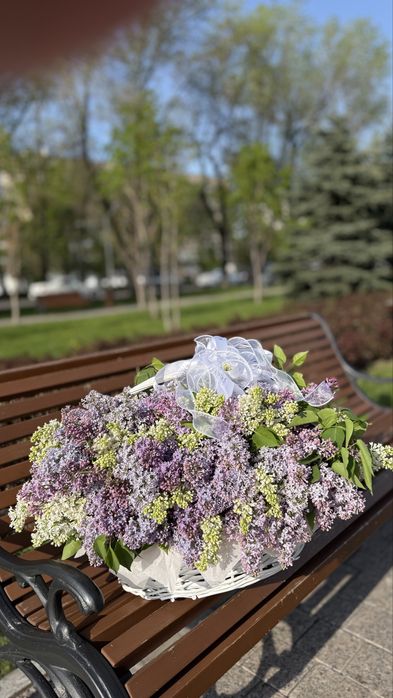 Сирень от 5 тыс свежие только