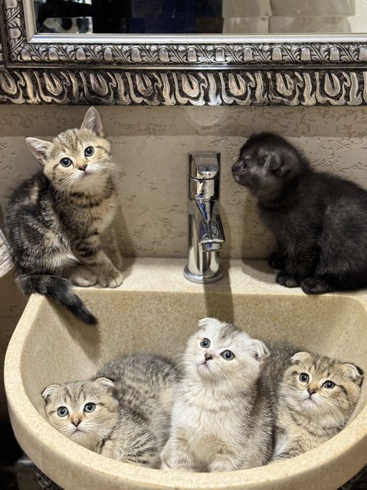 G nuqtadagi jinsiy aloqa pozitsiyalari