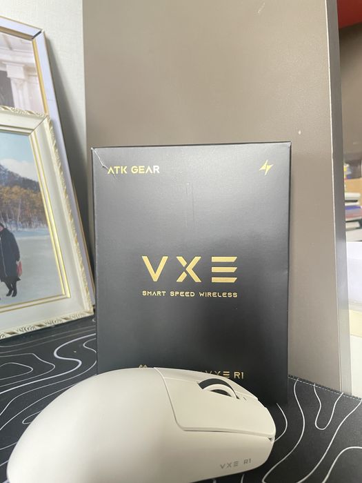 vxe dragonfly r1