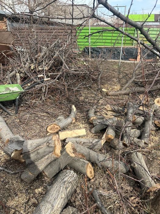 Дрова  бесплатно