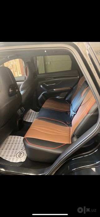 Byd chempion gibrit