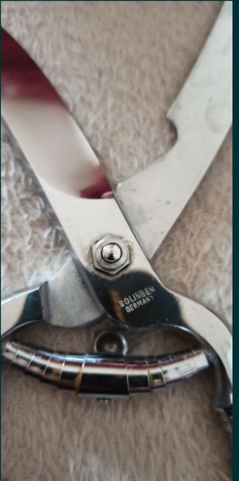 Ножица от рог на елен - solingen germany