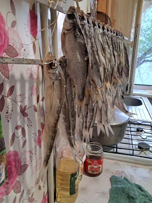 Рыба сушоная вобла и рыбец