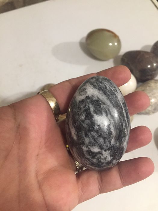 11 бр.колекция яйца от камьк