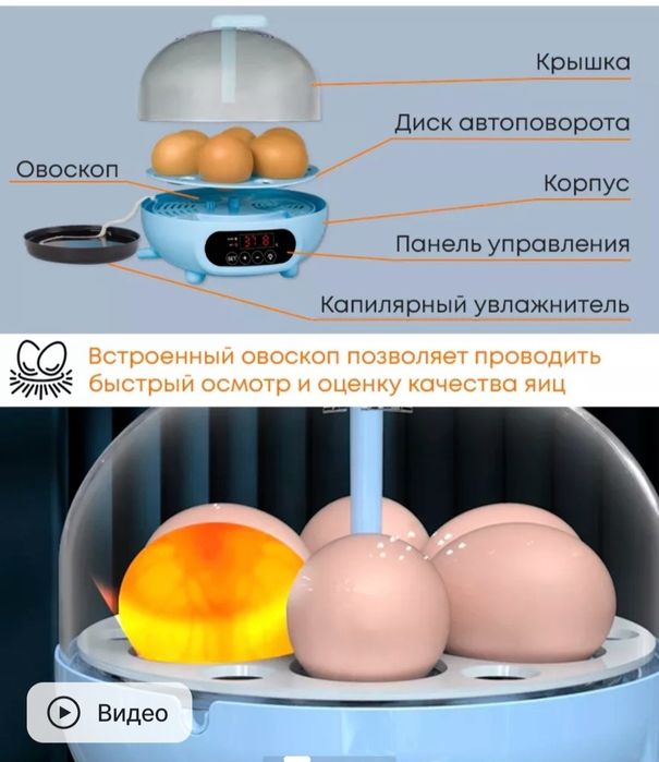 Икнубатор мини 6 тали