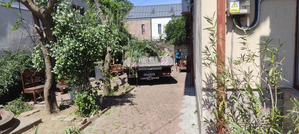 Tăiere copaci 24/7 alpinist utilitar bucurești si zonele limitrofe
