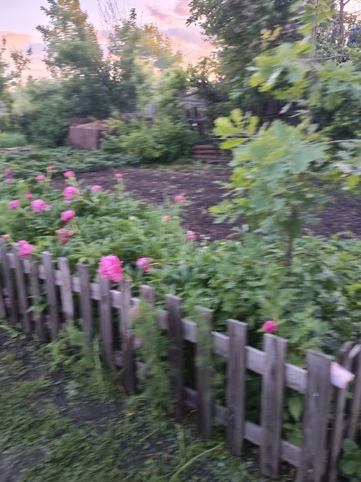 Продам дачу в" Чапаева"