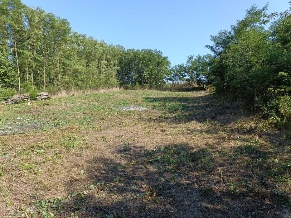 PROPRIETAR - 3250mp Teren, Casă Românești (Iași) - Apă și Canalizare ÎN CASĂ și pe Terasă
