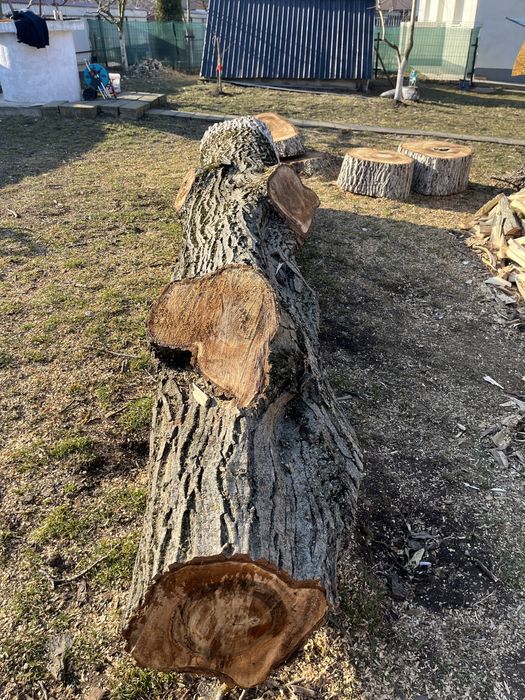 De vânzare trunchi nuc