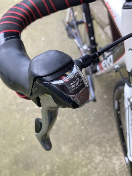 Cursiera axevo M/L Carbon