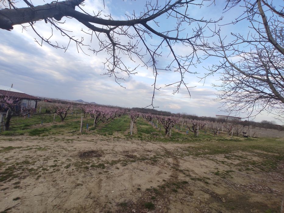 Земеделска земя,овощна градина