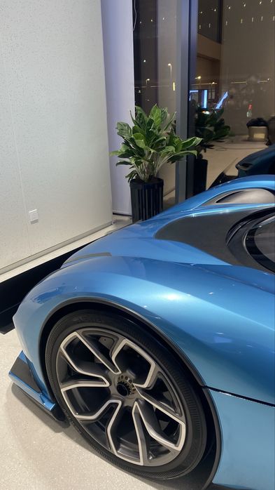 Офис учун гуллар, Цветы, Цветы для офиса, Офисные растения