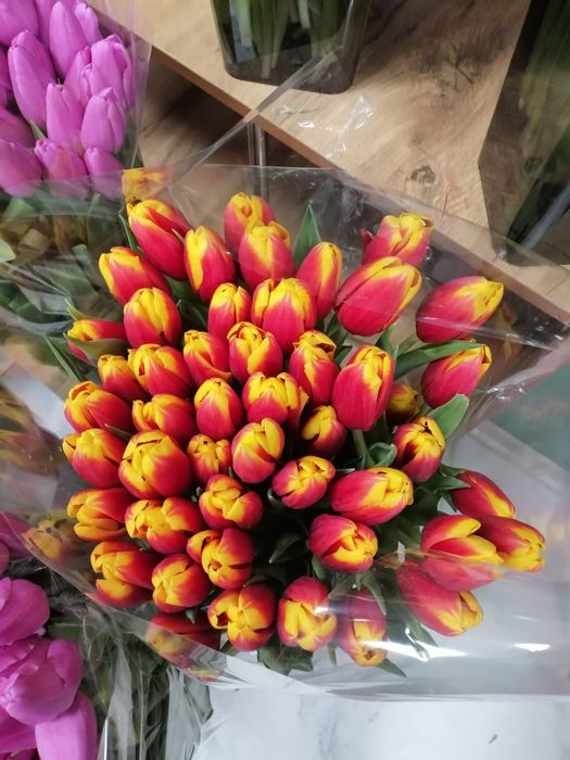 Тюльпаны Оптом и В розницу