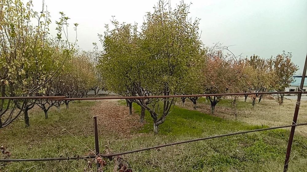 Готовый агробизнес! Продаётся ферма 1.05 Гектар  в Ташкенте (Черняевка