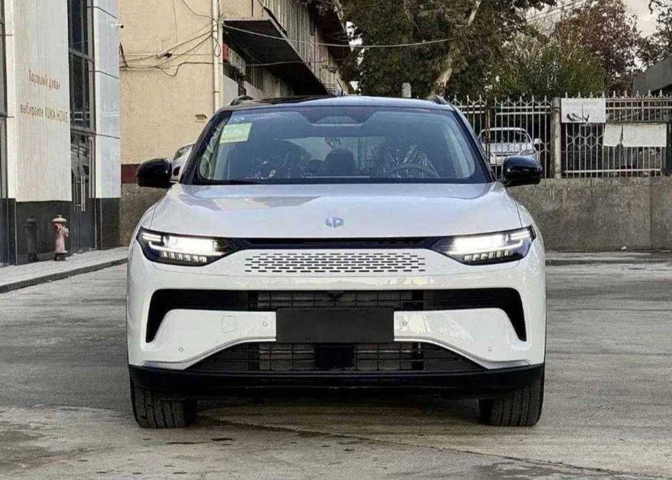 Leapmotor C11 variant