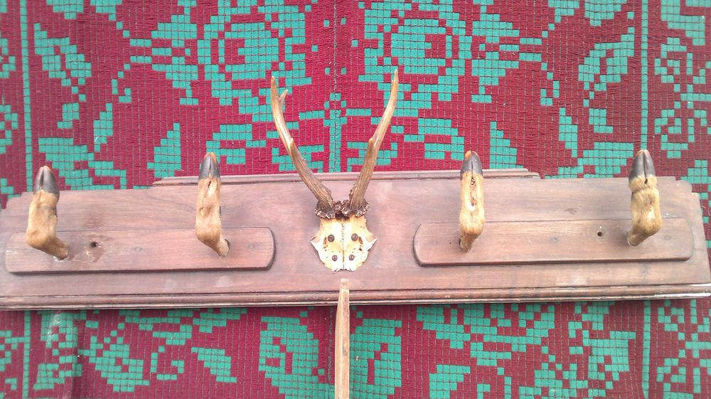 Cuier vanatoresc.  1950