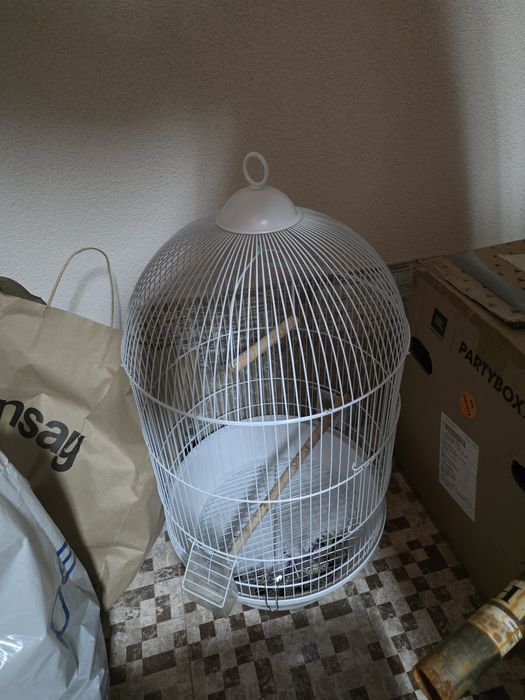 Vand Papagali perusi