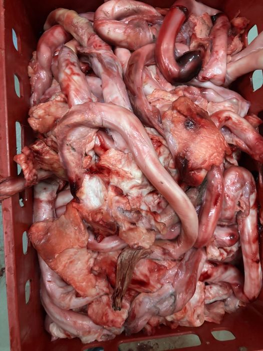 Сбой КРС, субпродукты