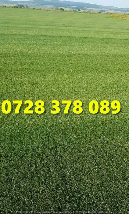 Rulouri de gazon plus Montaj !