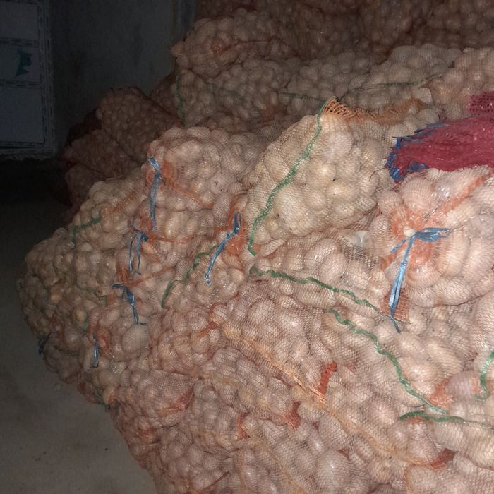 Vând cartofi  de consum și sămânță.