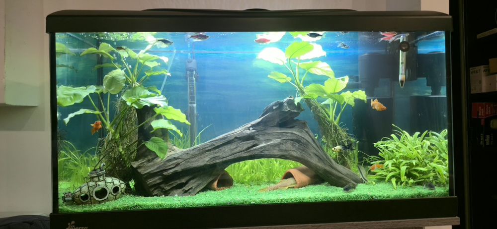 Acvariu diversa 112 l + mobilier