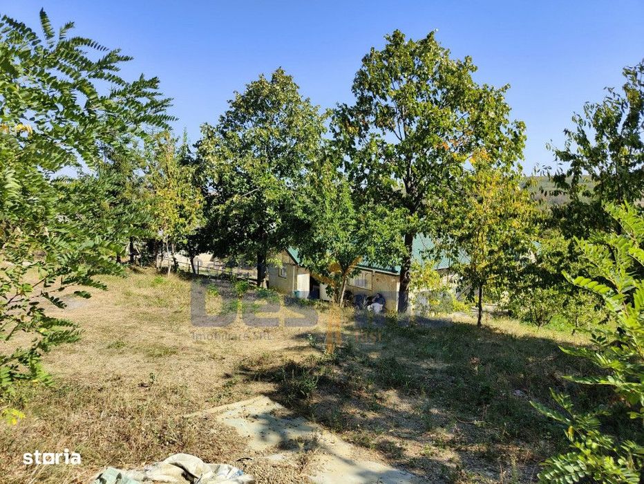 Casa langa PĂDURE + anexe + 6400 mp TEREN intravilan - sat HĂRPĂȘE