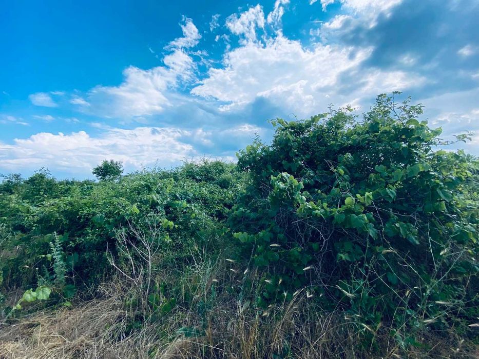 Продава се Земеделски имот в Варна, Възраждане 1 -  кв.м за 30 €/дка - Снимка #15