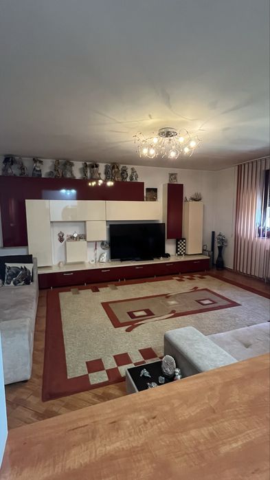 Vila spatioasa+societate comerciala