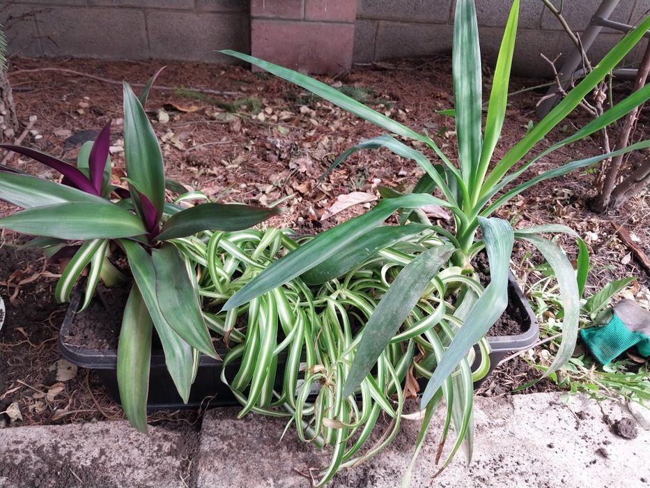 Красивый аксессуар на подоконник,