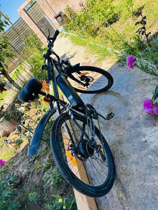 bicicleta electrica