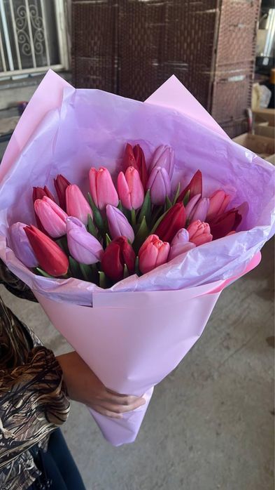 Тюльпаны оптом и в розницу