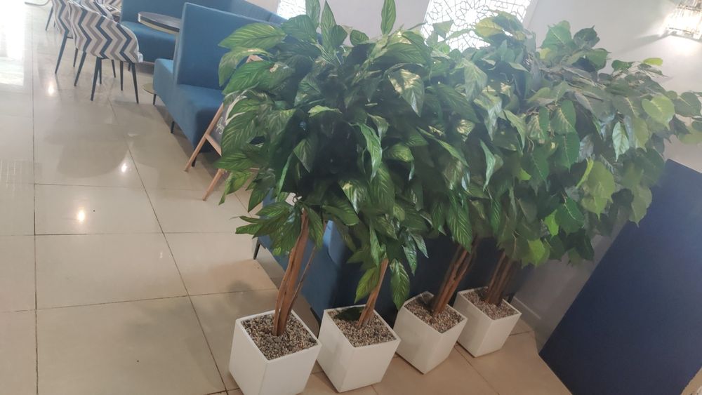 Мебель для общепита