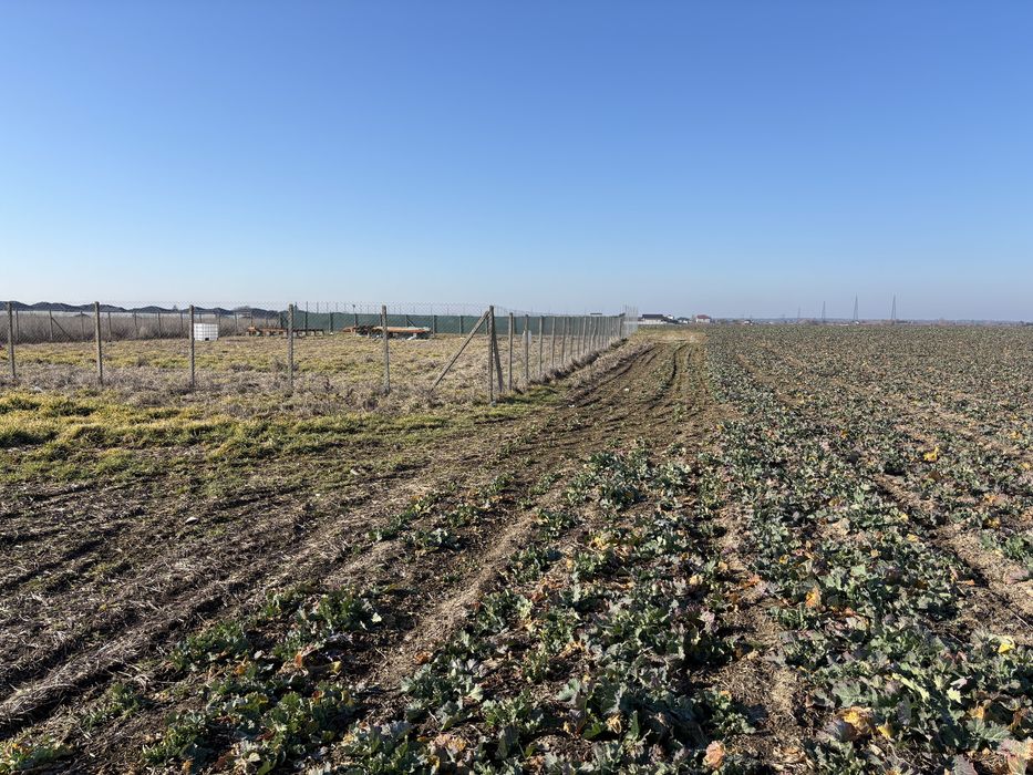 Vand teren intravilan suprafata 440 mp direct proprietar