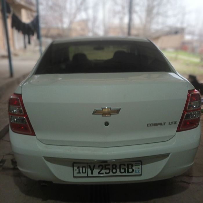 Коблт 2024 и янги